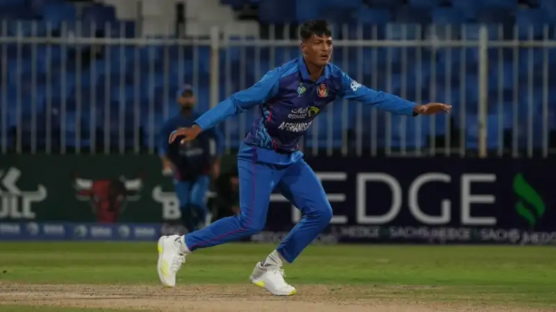 9wickets cricket betting