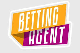 9Wickets Agent Selection & Strategy Guide: How to Choose a Trusted Agent